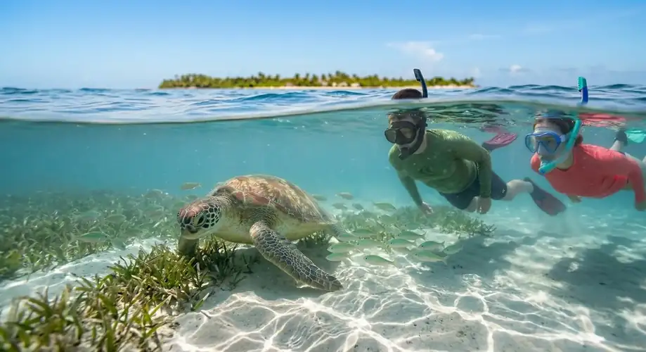 Snorkelling with sea turtles in the clear waters of the Celebes Sea near Doris Mataking Resort, Semporna